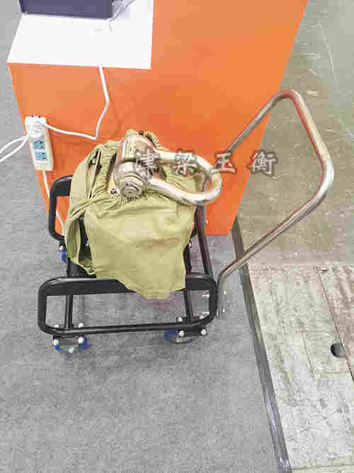 高精度电子吊秤/掌上型电子吊磅30kg～300kg