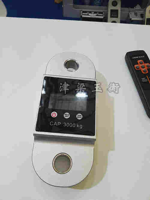 高精度电子吊秤/掌上型电子吊磅30kg～300kg