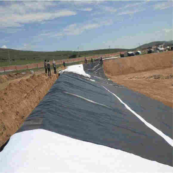 ：滨州hdpe土工膜厂家——滨州欢迎您