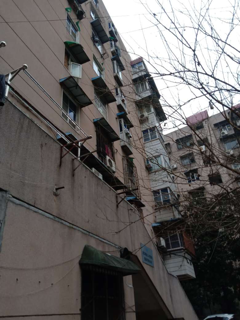 荆州市房屋检测鉴定机构房屋鉴定高效			