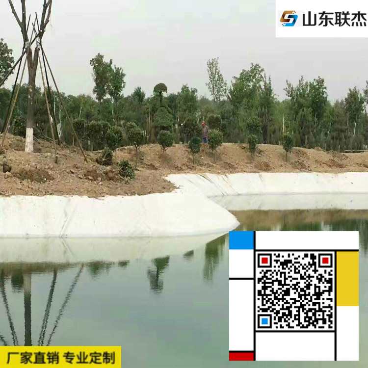 欢迎访问 安庆防渗 防水复合土工膜怎么买 欢迎莅临