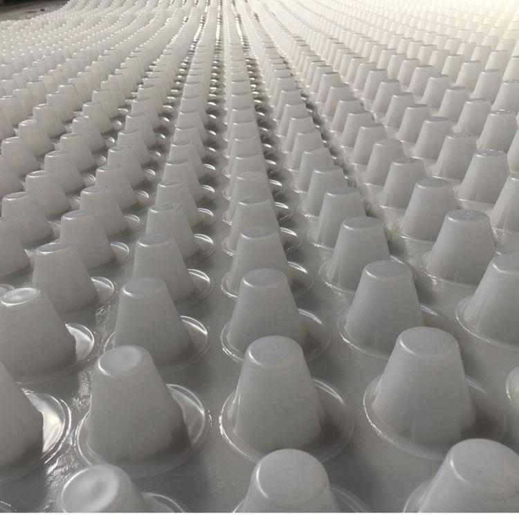 那曲申扎县疏水板厂家报价蜂窝型塑料保水排水格片批发原产地生产