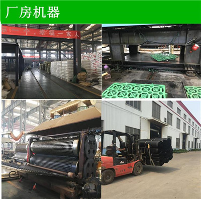 文山富宁县塑料疏水板厂家30厚凹凸型疏排水板供应原产地价格