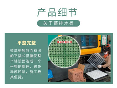重庆铜梁县疏水板厂家H20疏水板-加厚疏水板原产地生产