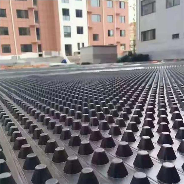 更新价格新郑市排水板厂家20厚塑料排水板价格供求