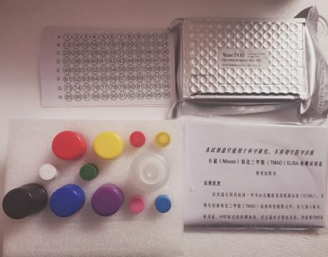 小鼠乳酸ELISA试剂盒