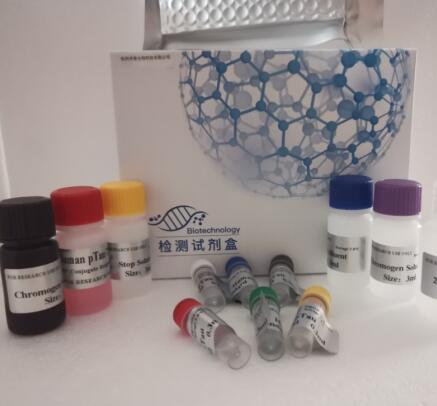 鸡禽流感病毒(AIV)ELISA试剂盒