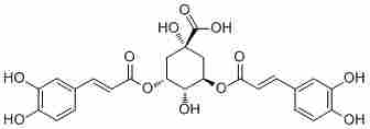 3,5-Di-O-caffeoylquinic acid2450-53-5