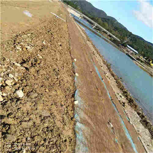 欢迎访问-香港岛植生毯通佳-实业集团