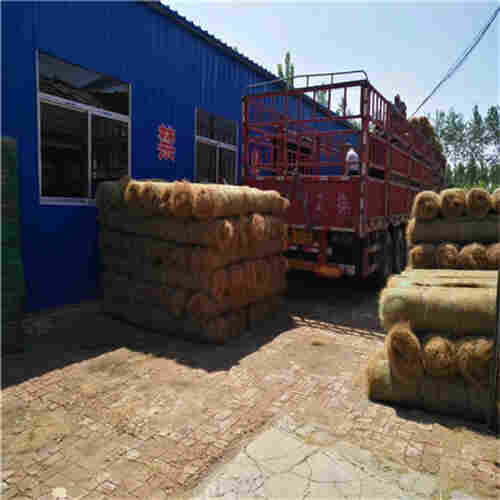 三亚植被毯(水保草毯)公司2022已更新