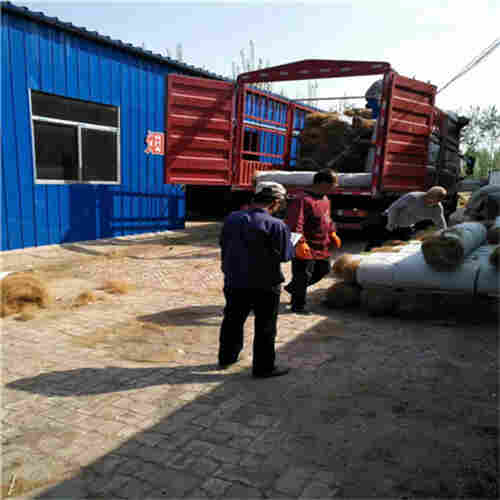 沈阳椰网(CF网)公司2022已更新