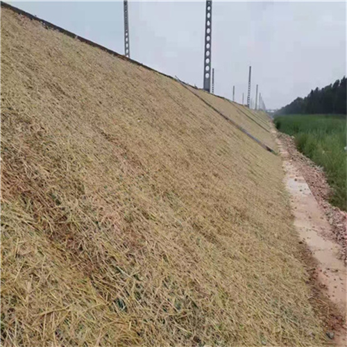 天津一体化草毯(植物纤维毯)厂家发货2022已更新