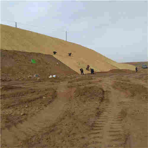 和田地区椰丝网(纤维网)公司2022已更新