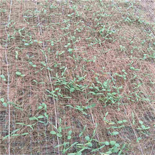 潍坊山体复绿植被毯通佳-实业集团 潍坊山体复绿植被毯通佳-实业集团