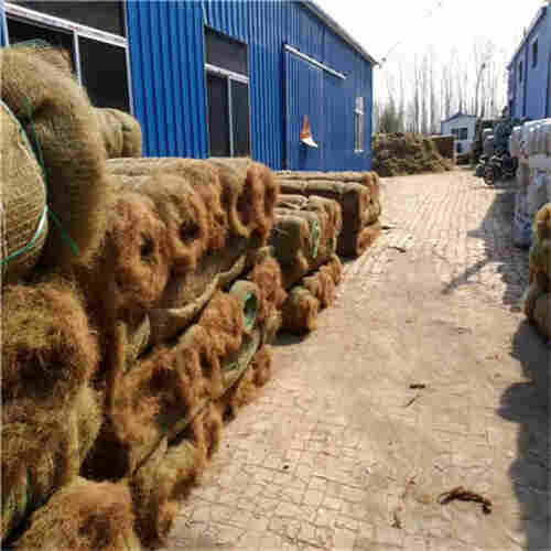 滨海新区(加筋草毯)加筋植草毯公司2022已更新 滨海新区(加筋草毯)加筋植草毯公司2022已更新