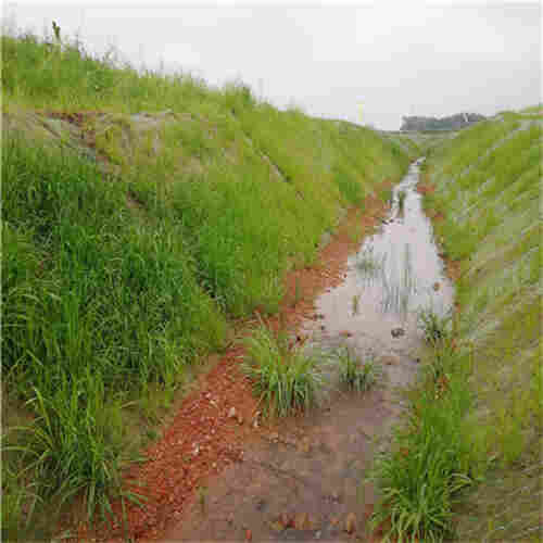 沈阳椰网(CF网)公司2022已更新