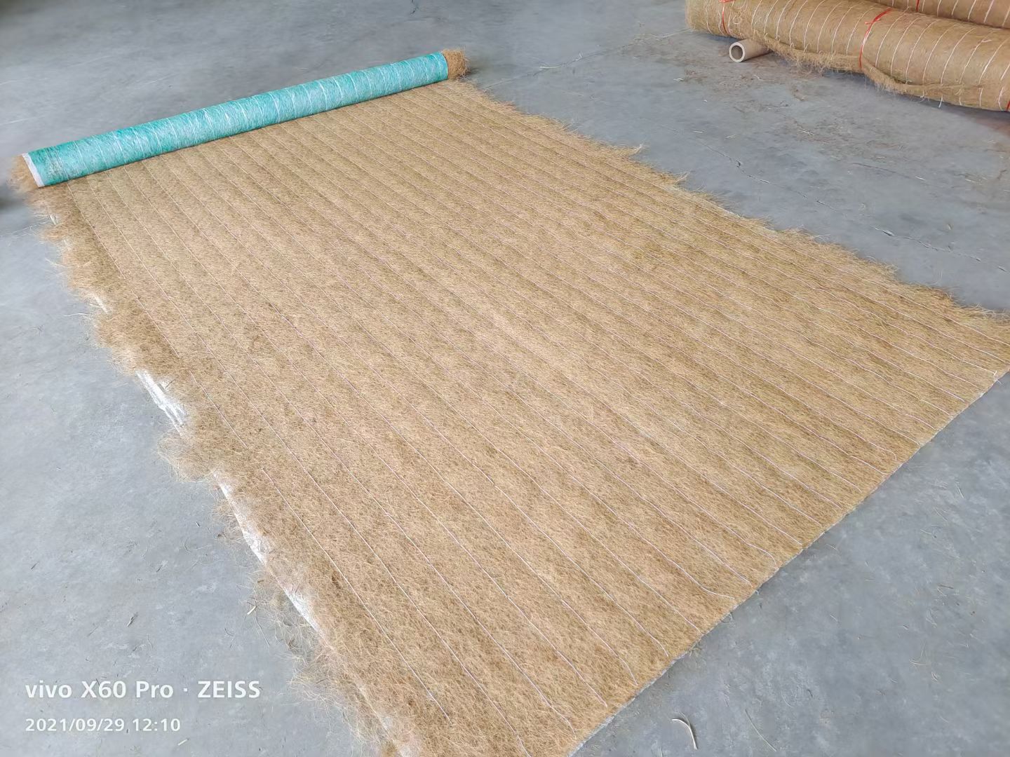 安徽边坡绿化植草毯价格怎么样？