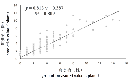 轻小型植物表型成像系统