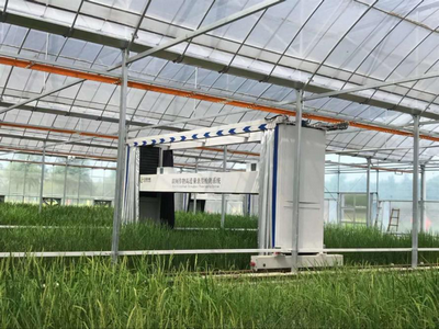 田间作物高通量表型检测系统