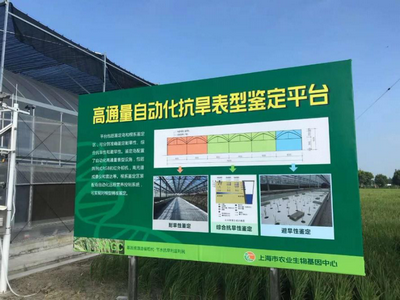 田间作物高通量表型检测系统