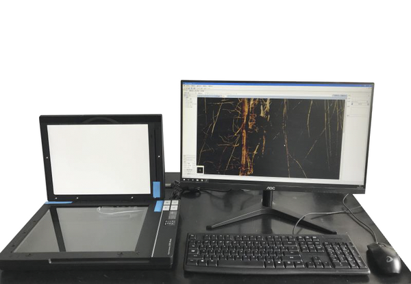 根系图像分析仪系统，表型平台