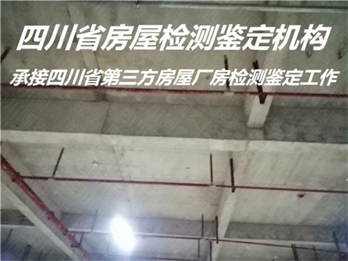 广安市厂房改造检测机构