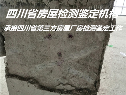 四川省受损房屋检测鉴定报告办理机构