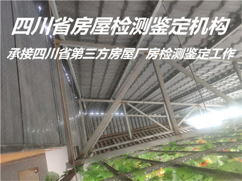 内江市厂房安全检测机构提供全面检测
