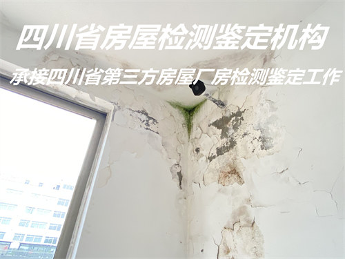 遂宁市房屋抗震检测服务公司