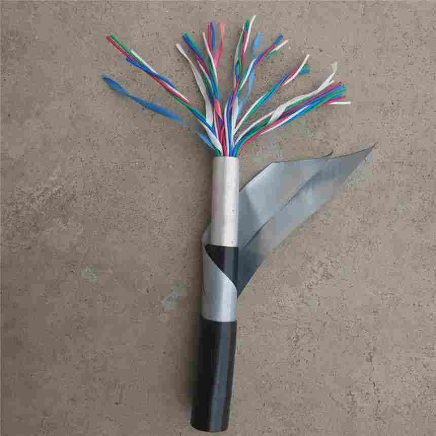 信号电缆WDZC-PTYA23 21×0.785mm2