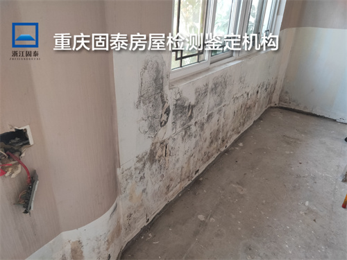 重庆大渡口厂房抗震鉴定公司-重庆办理机构-2022已更新
