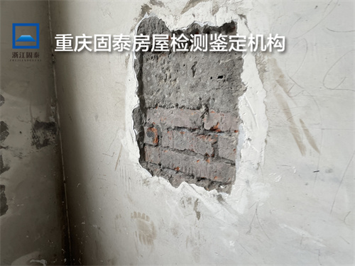 重庆巴南区钢结构厂房检测-重庆机构-2022已更新动态