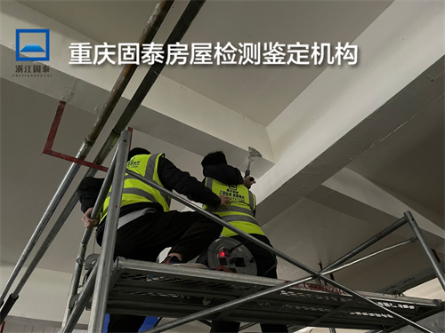 重庆南岸区房屋抗震鉴定公司