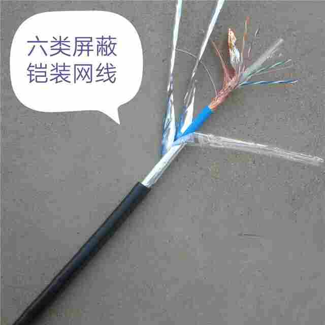 六类屏蔽铠装网线ASTP4*2*0.57-YD/T1019-2013