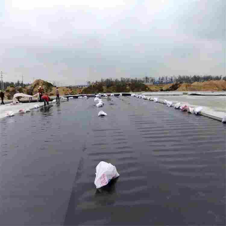 丹东土工膜-全境派送直达2022价格已更新