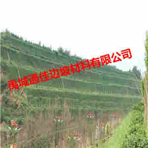 欢迎访问-内江市秸秆草毯-实业集团