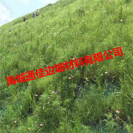 欢迎来访-长泰县秸秆毯-实业集团