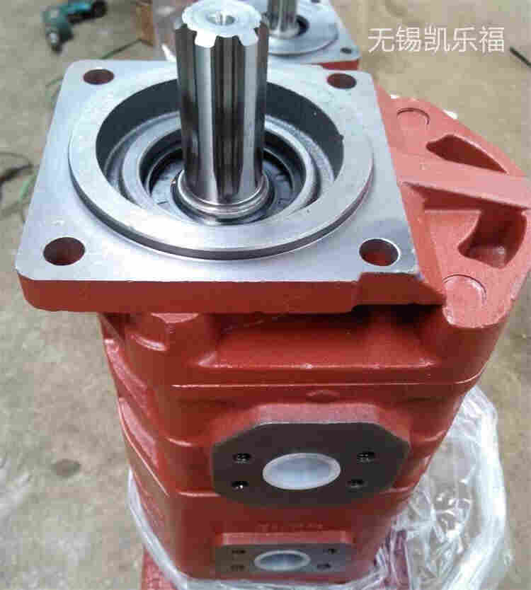 北碚区环卫车油泵CBNL-F540/F525-BFP