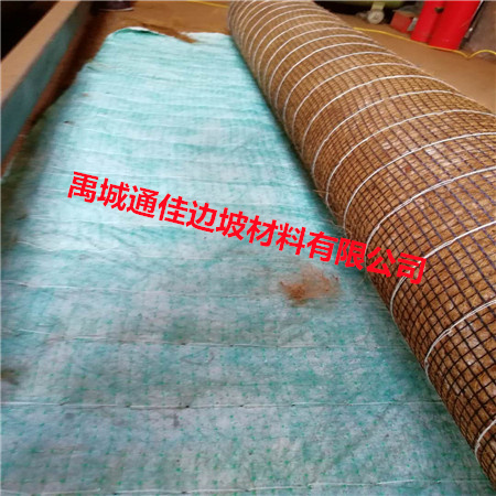 欢迎访问-广州植生毯河堤护坡-通佳实业集团