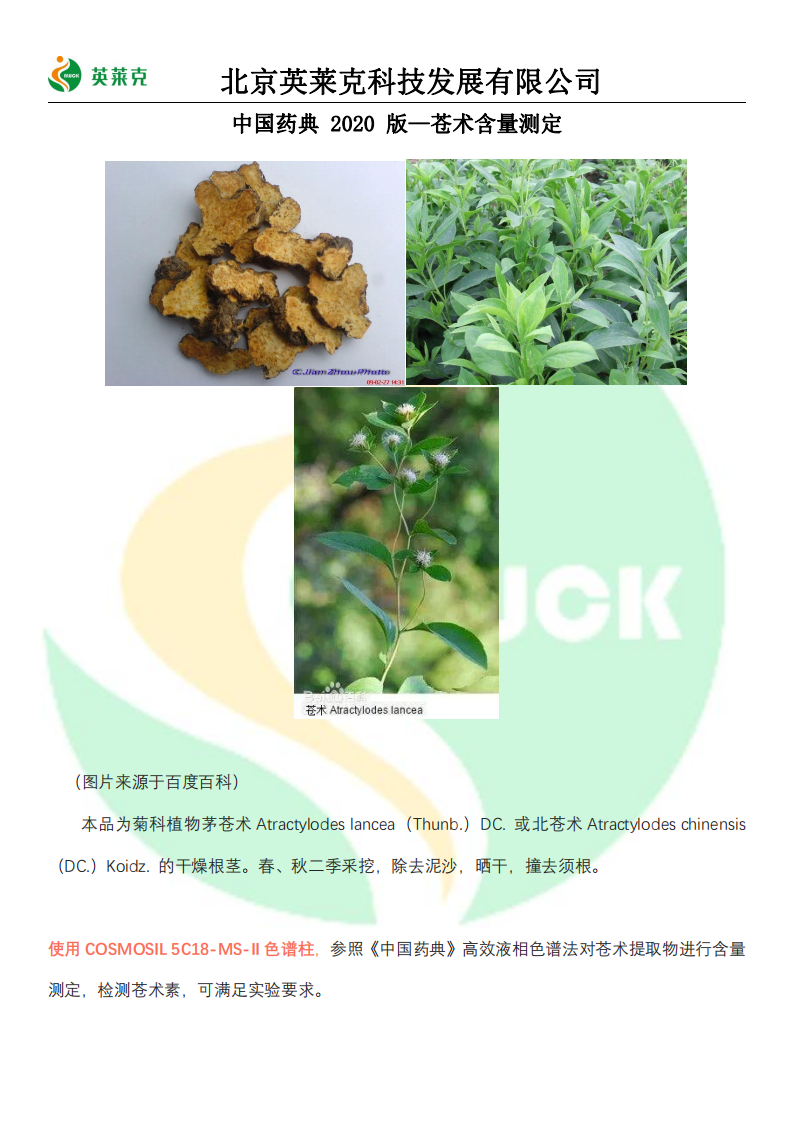 药典 2020 版-苍术含量测定