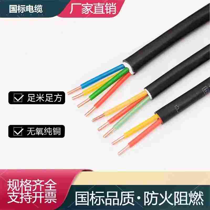 AC220V电源线NH-YJV22