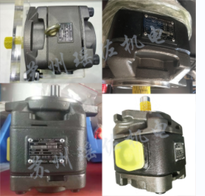 台湾海特克SUNNY齿轮泵HG2-100-01R-VPC
HG2-125-01R-VPC
HG2-160-01R-VPC
CP0-08-P-10R油泵瑶佐机电现货出售