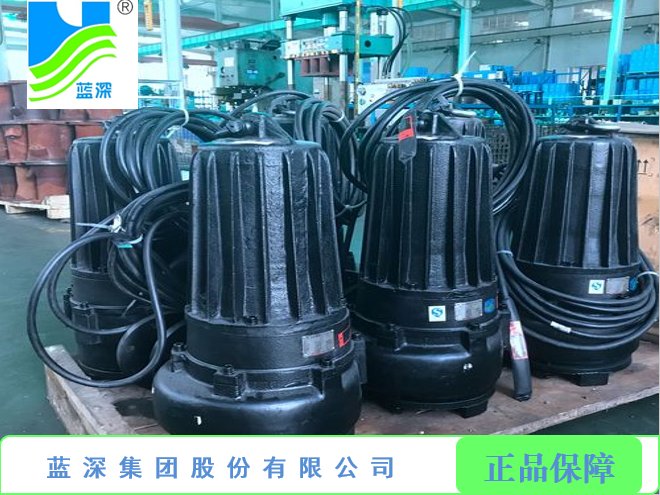 南京蓝深集团AS16-2CB污水泵