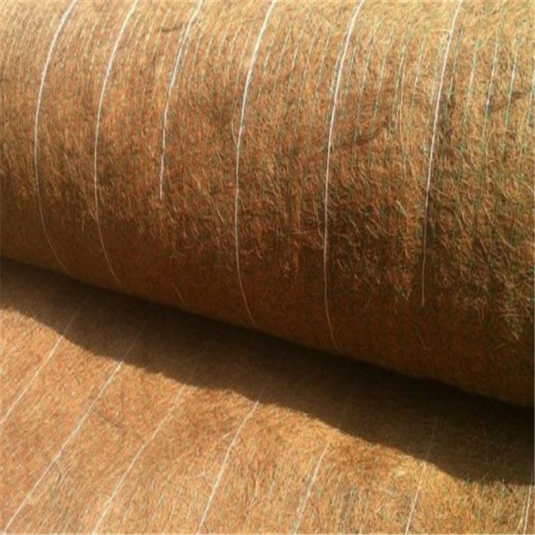 台州植物生态防护毯-可降解环保草毯厂家经销全境派送直达已更新