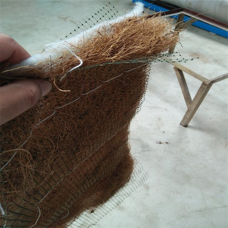 天津椰纤植生毯 植物纤维草毯 绿化生态椰丝毯-2023已更新