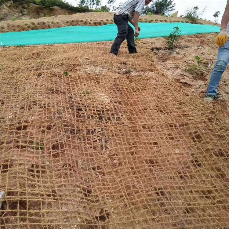荆州护坡植被植草毯-椰丝植物毯已更新(/动态)