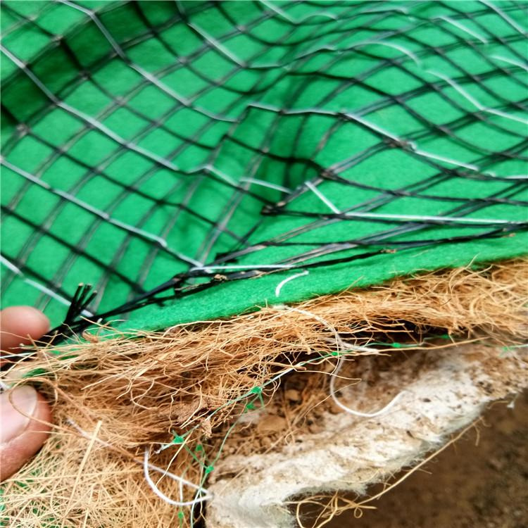 天津椰纤植生毯 植物纤维草毯 绿化生态椰丝毯-2023已更新