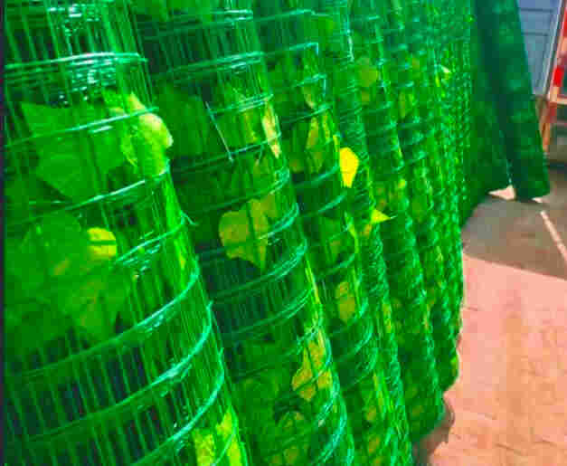 开远树叶网-绿叶网-2X30爬藤网