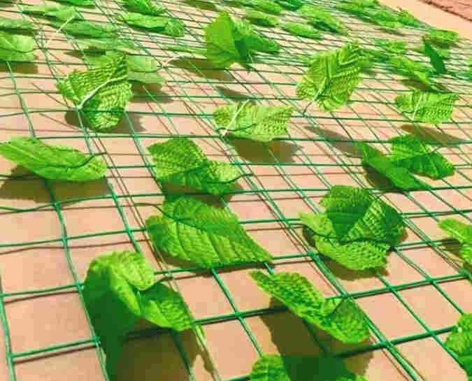 开远树叶网-绿叶网-2X30爬藤网