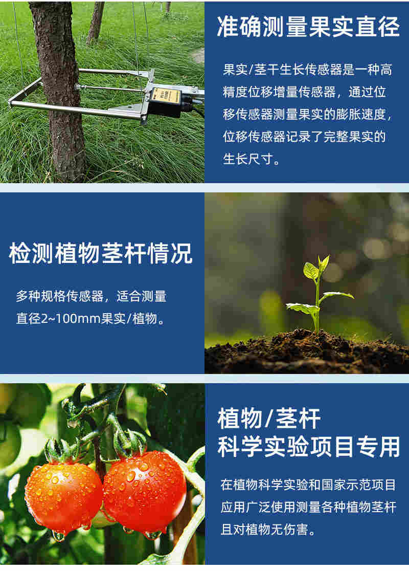 果实茎干生长传感器